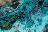 Colorful Chrysocolla and Shattuckite Slab - Mexico #227901-1